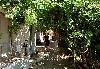 Click here to see the picture (crete060601_03_ chania_tour_tony.jpg)